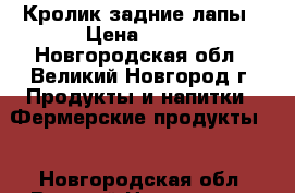 Кролик задние лапы › Цена ­ 750 - Новгородская обл., Великий Новгород г. Продукты и напитки » Фермерские продукты   . Новгородская обл.,Великий Новгород г.